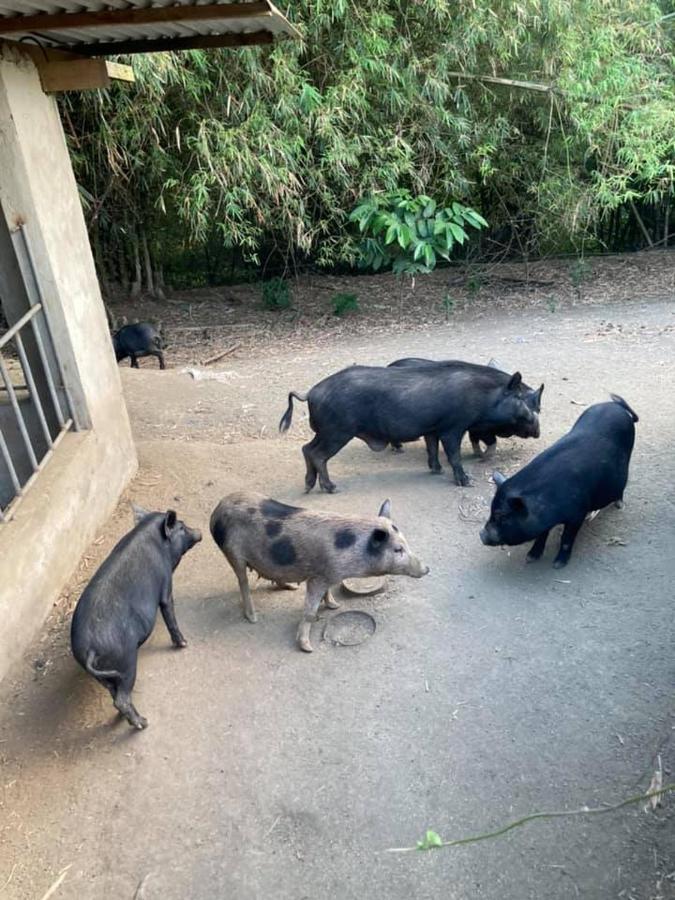Batangas Ataalaya Farmhouse מראה חיצוני תמונה