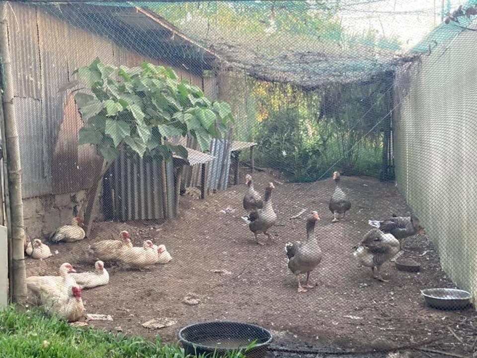 Batangas Ataalaya Farmhouse מראה חיצוני תמונה