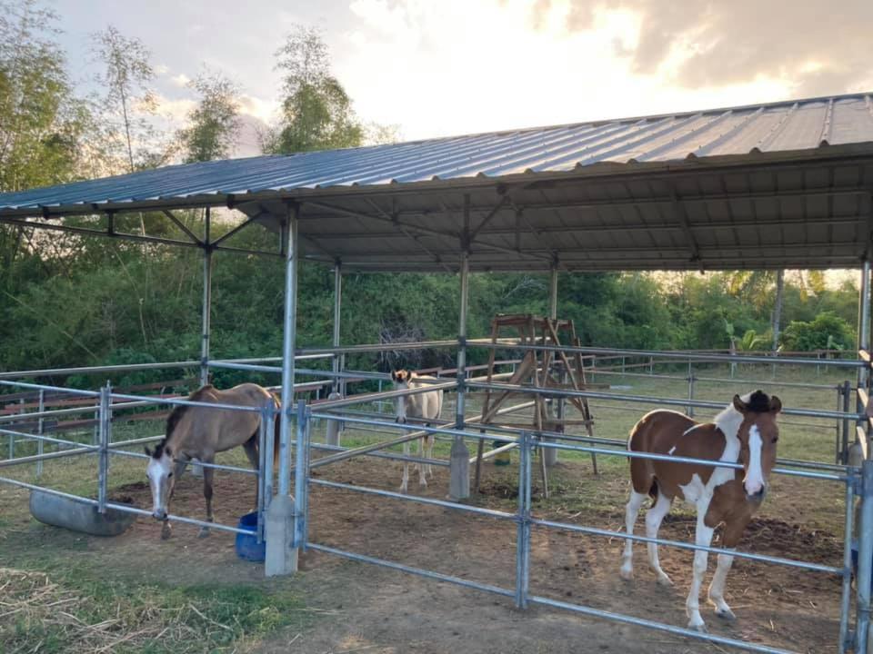 Batangas Ataalaya Farmhouse מראה חיצוני תמונה